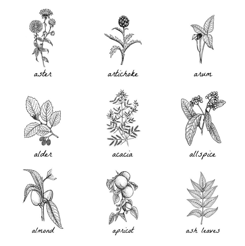 Black and white botanical outlet prints