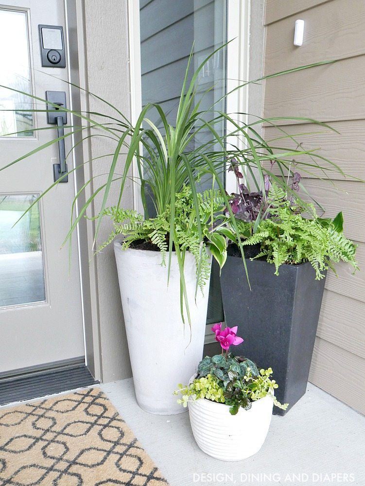 These large planters for your front porch are a classic look yet make such a statement!