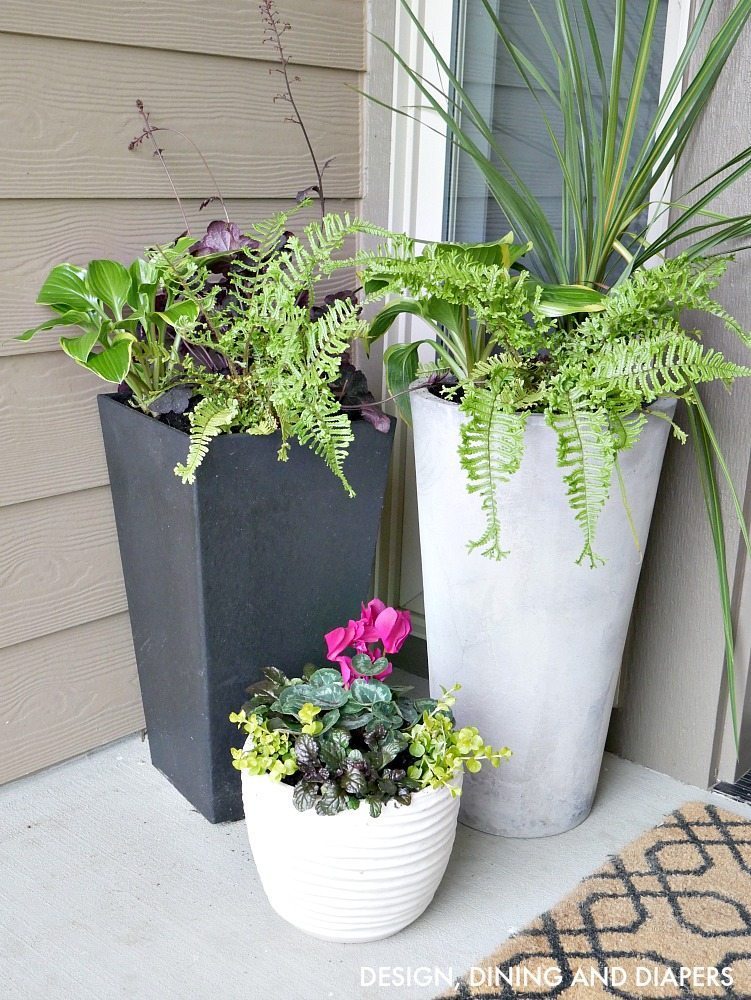 Modern contemporary planters for front porch with tropical flowers