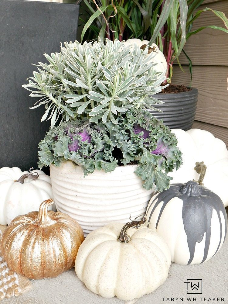 This Elegant Fall Porch design can be easily recreated using millet plants, kale and tons of faux white pumpkins! 