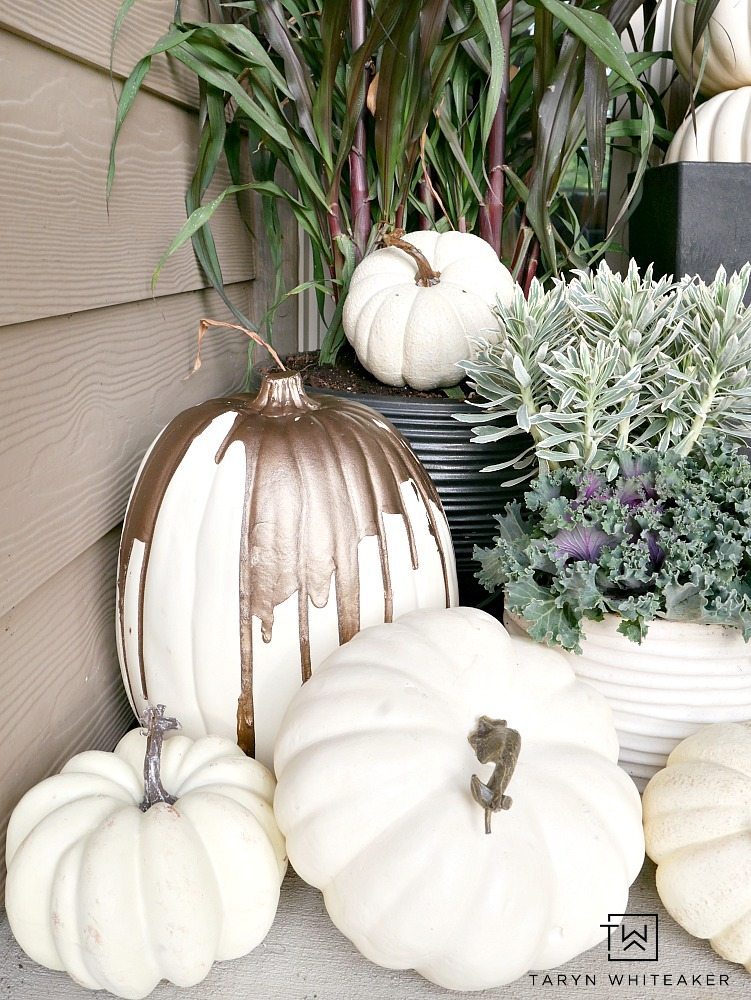 Collection of white pumpkins displayed on front porch for fall. 