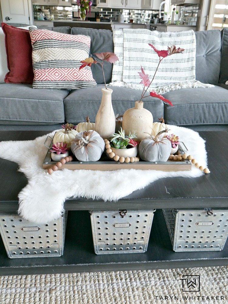 For this piece, it was all about layersing and adding complimentary pieces together to create a Modern Boho Fall Centerpiece. I started with this wood and galvanized tray and built from there. Then, I started to fill it with these beautiful gray velvet pumpkins with feathers, these mini rose gold succulents (which I have fallen in love with), and some white pumpkins. 