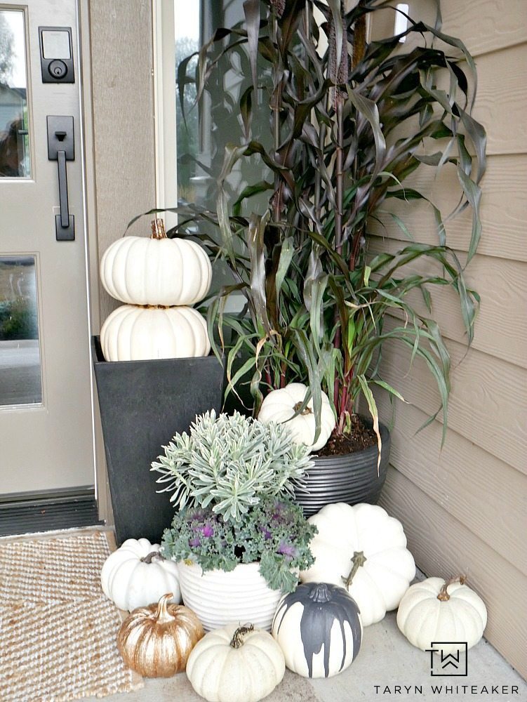 This Elegant Fall Porch design can be easily recreated using millet plants, kale and tons of faux white pumpkins! 