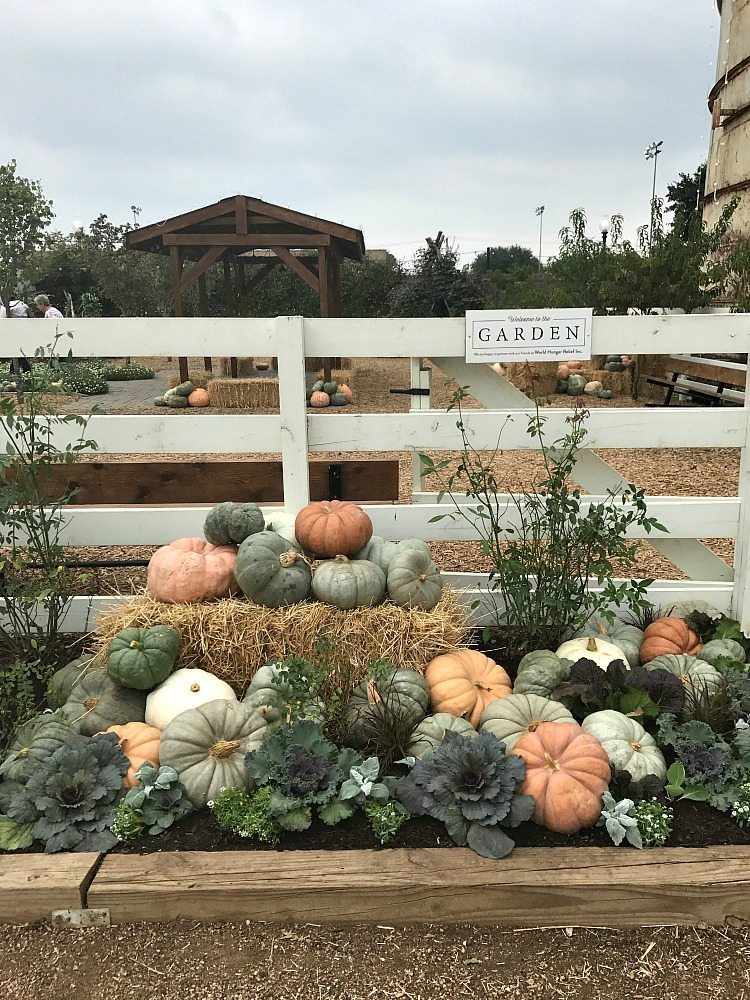 Planning visiting Magnolia Market? Get a peek into what it's like to visit in the fall! All the details are absolutely stunning. 