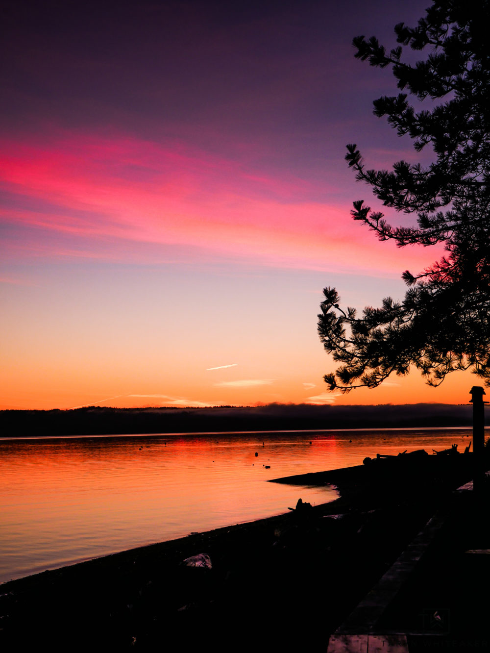 pink and gold sunrise from Whidbey Island looking over at Camano Island. #pnw #pnwphotographer