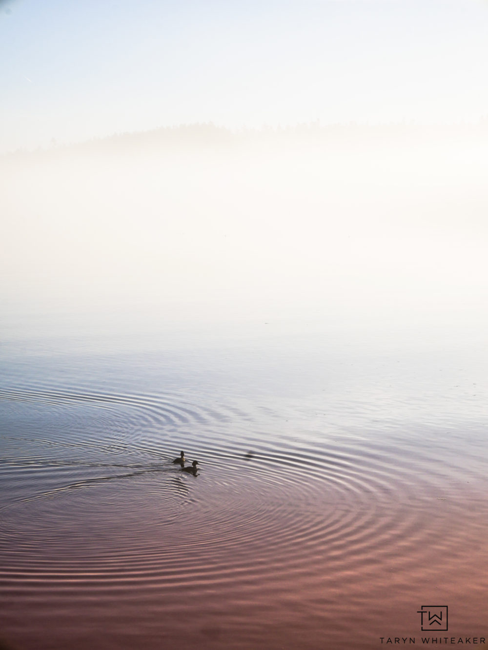 Winter time in Coupeville, Washington on Whidbey Island. 