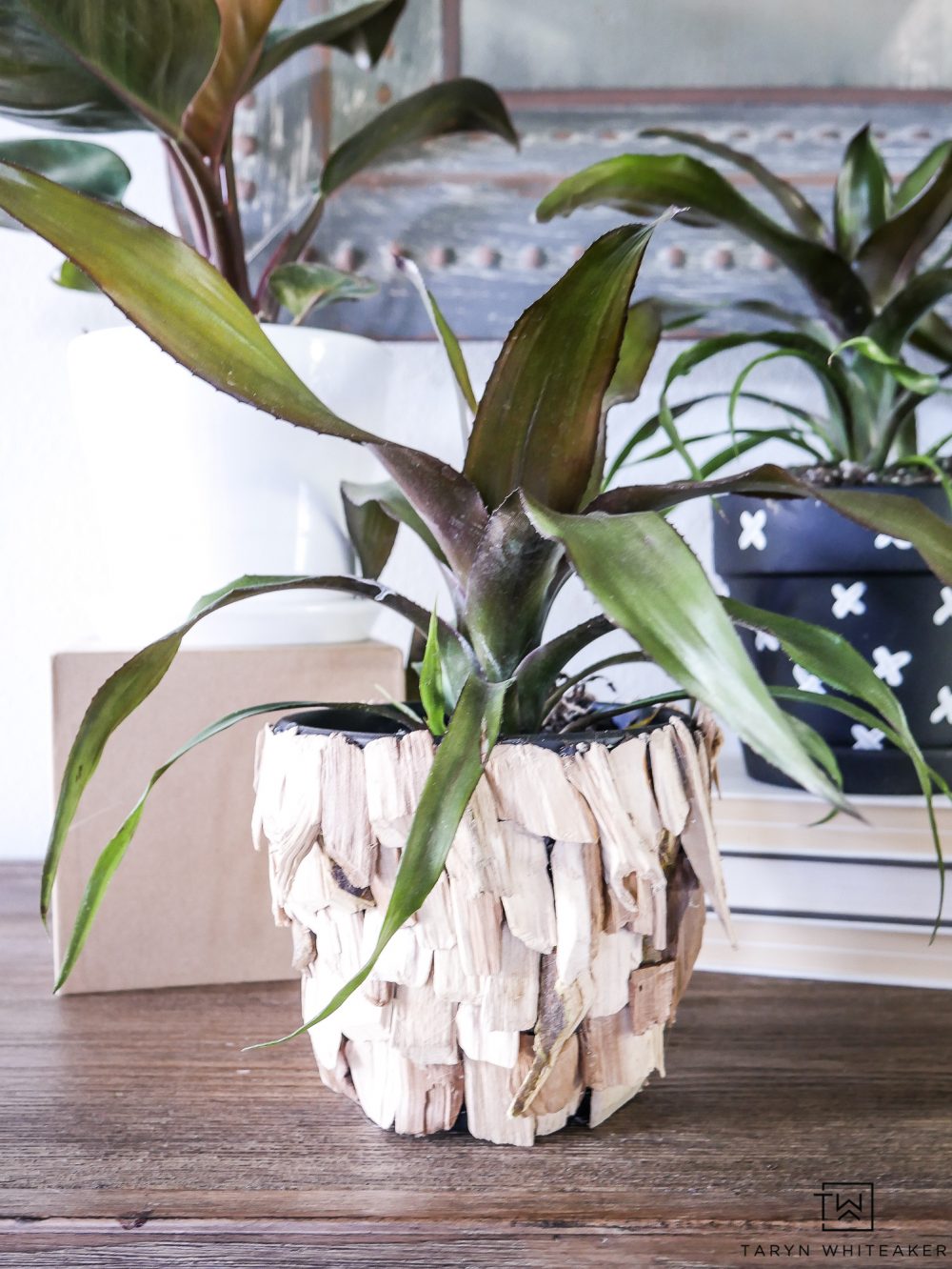 Learn how to make these DIY Wood Chip Pots! These small planters have a great look for summer and add a little tropical decor to your home. 