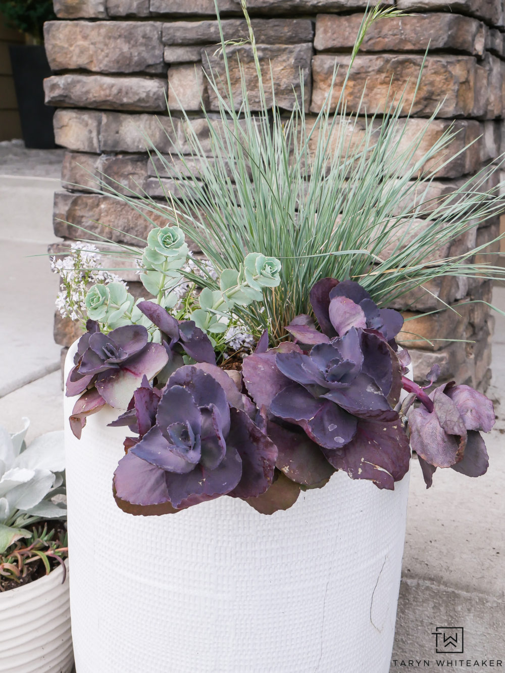 Succulent Planters! Love all the deep earth tone colors together.