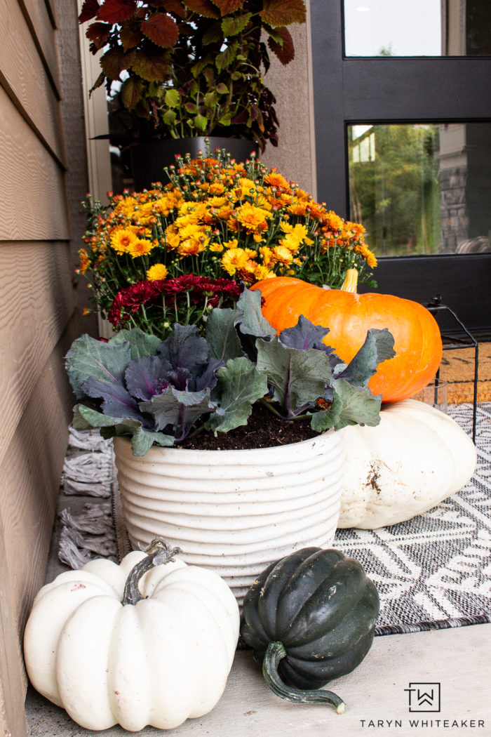 This Earth Tone Fall Porch is full of traditional fall colors but also has a nice modern look to it. Love all the orange mums and heirloom pumpkins. 