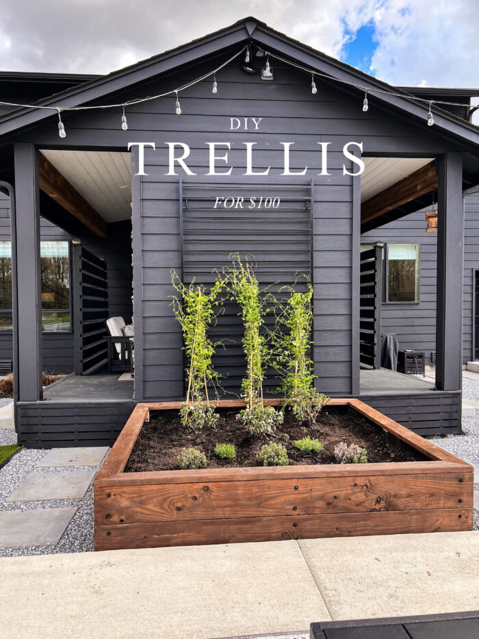 Learn how to make this Easy DIY Modern Trellis using a black metal fence panel and curtain hooks! Total project cost was $100 plus plants!